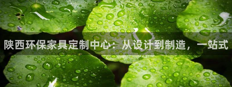 沐鸣2注册登入：陕西环保家具定制中心：从设计到制造，一站式