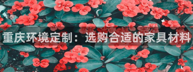 沐鸣2注册主管：重庆环境定制：选购合适的家具材料